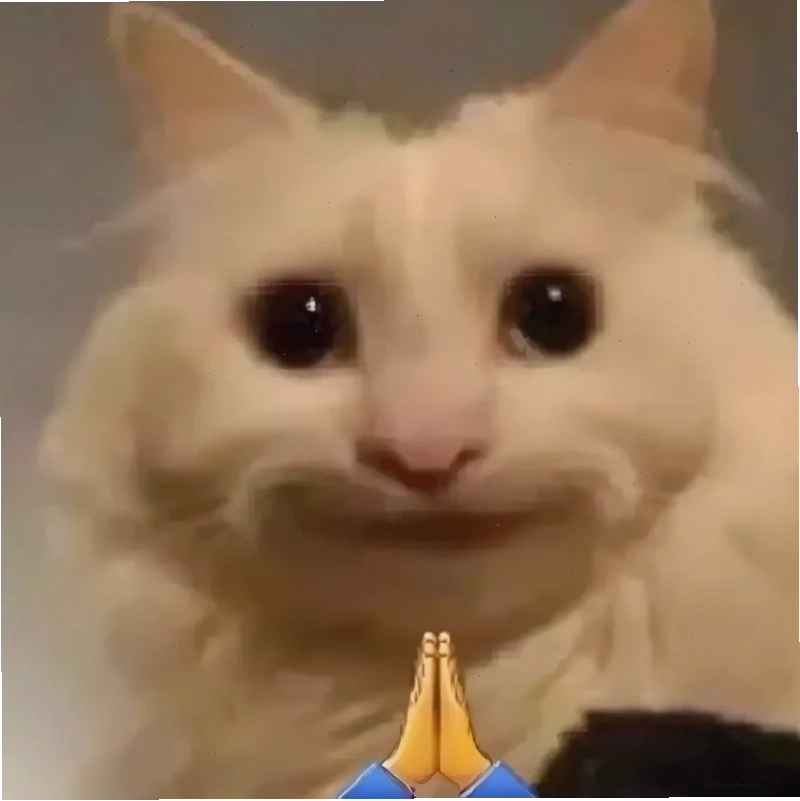 meme mèo cười