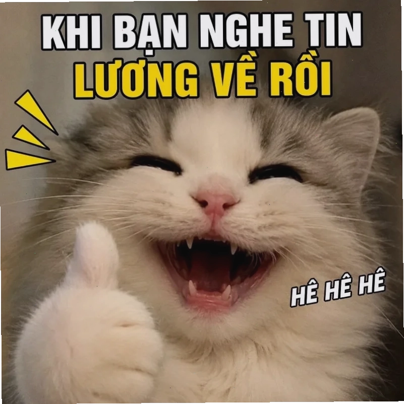 meme mèo cười