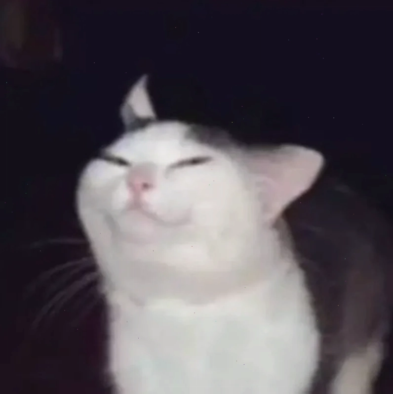 meme mèo cười