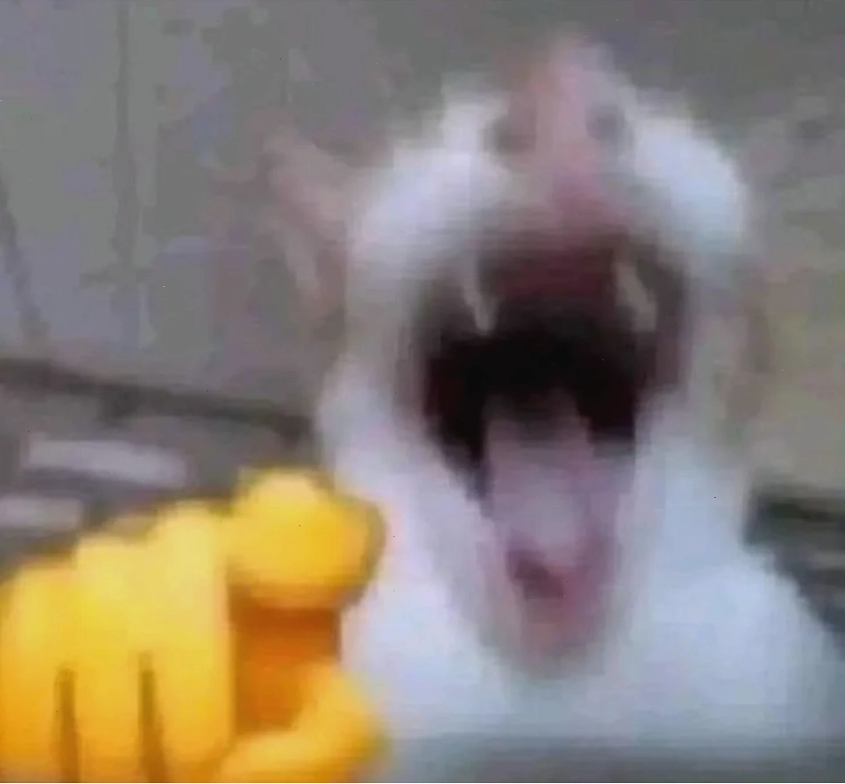 meme mèo cười