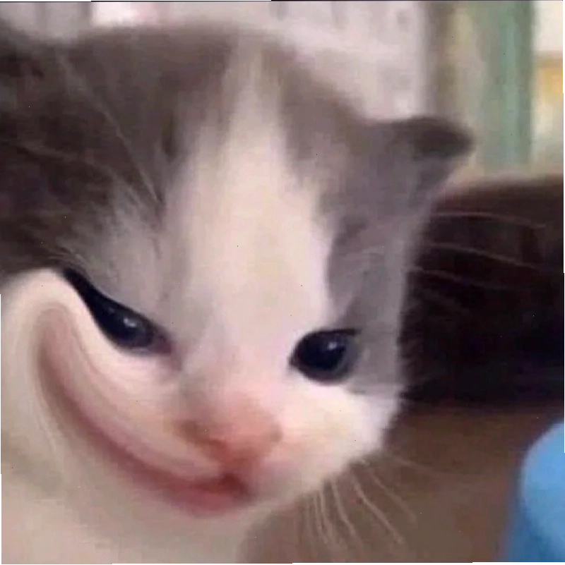 meme mèo cười đểu chỉ tay