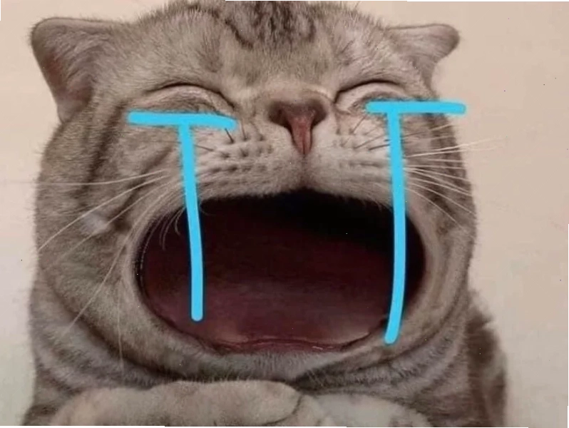 meme mèo cute chibi meme mèo cute chibi