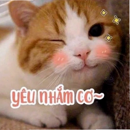 meme mèo cute chibi meme mèo cute chibi