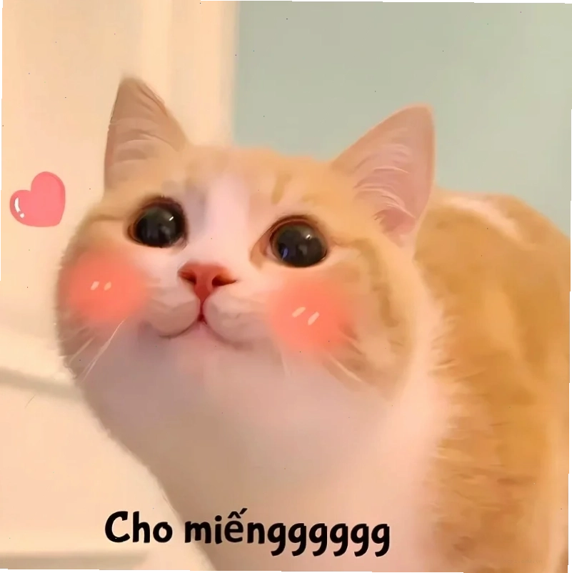 meme mèo cute dỗi meme mèo cute dỗi