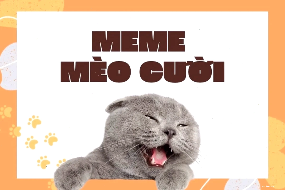 meme mèo cute dỗi meme mèo cute dỗi