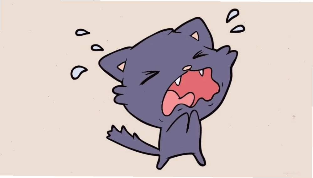 meme mèo cute dỗi meme mèo cute dỗi