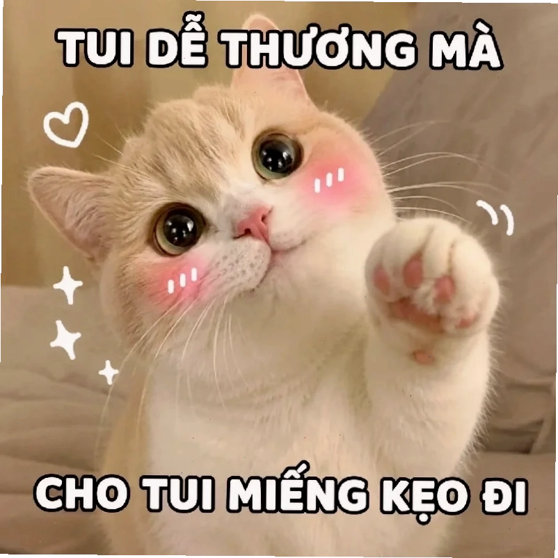 meme mèo cute dỗi meme mèo cute dỗi