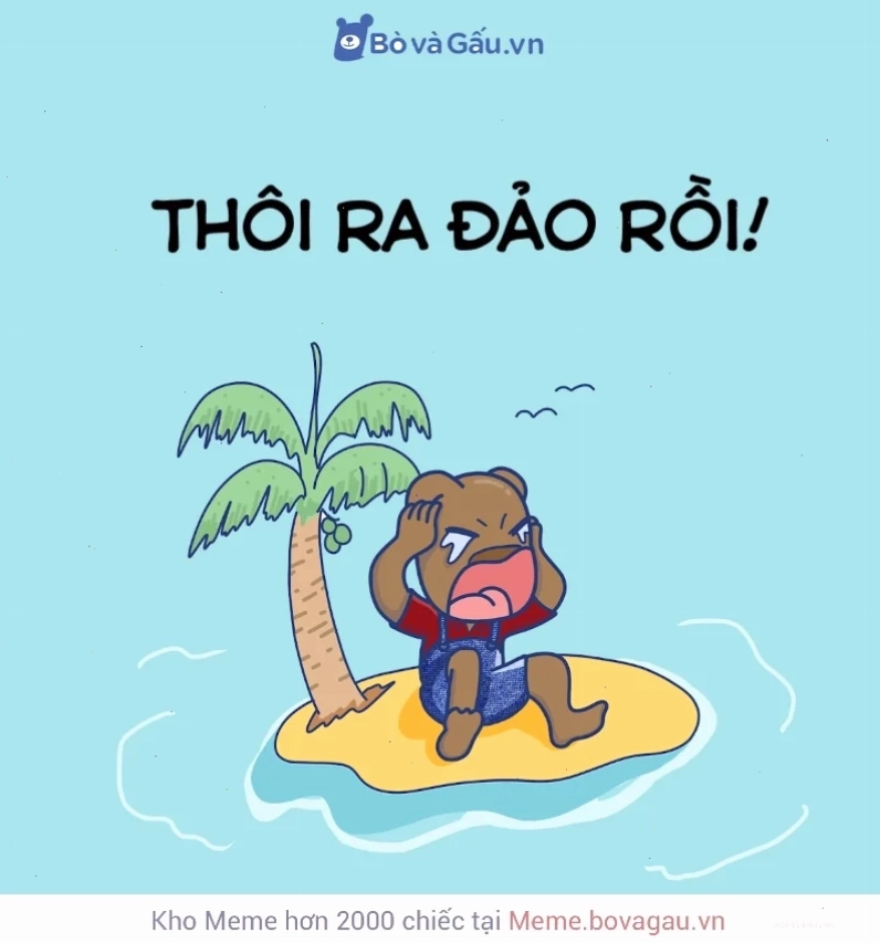 meme mèo độc đáo