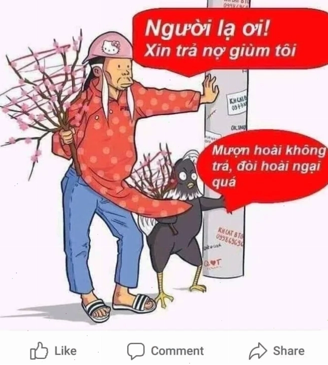 meme mèo đòi nợ