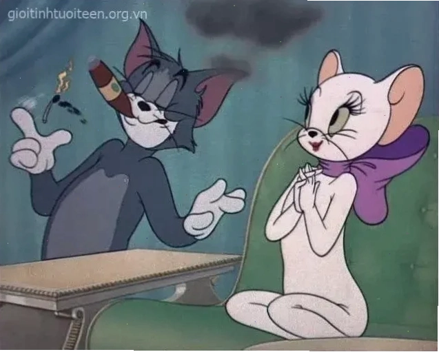 meme mèo đồng ý cute