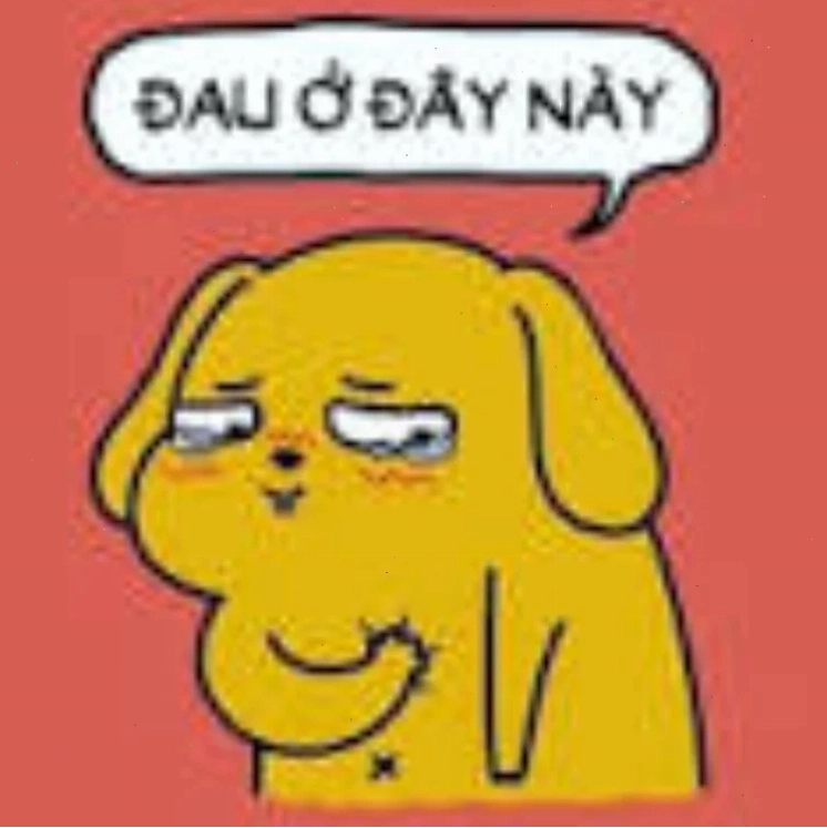 meme mèo giận dỗi