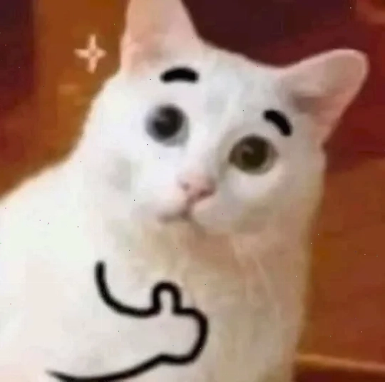 meme mèo giơ tay cún