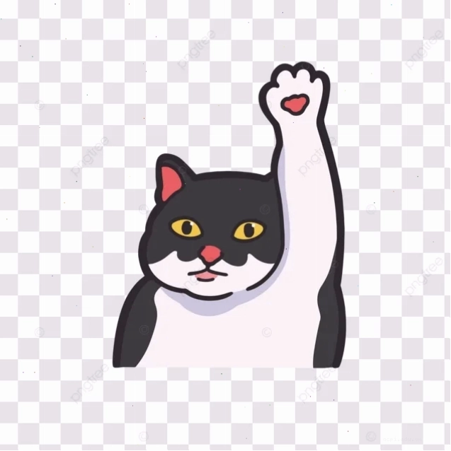meme mèo giơ tay gắt gỏng