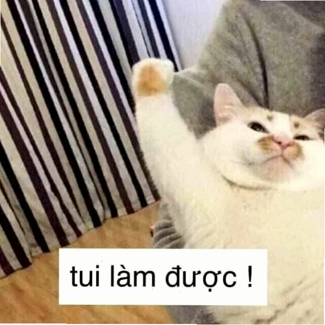 meme mèo giơ tay giận dữ