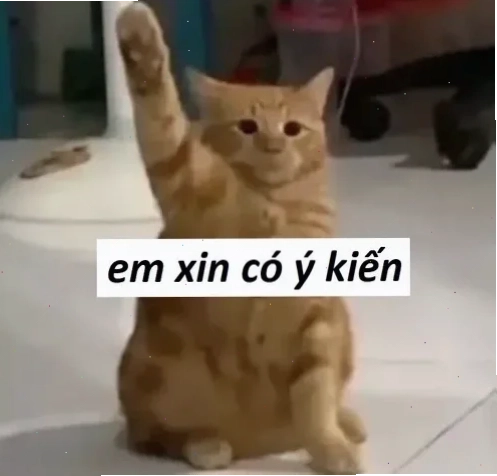 meme mèo giơ tay like