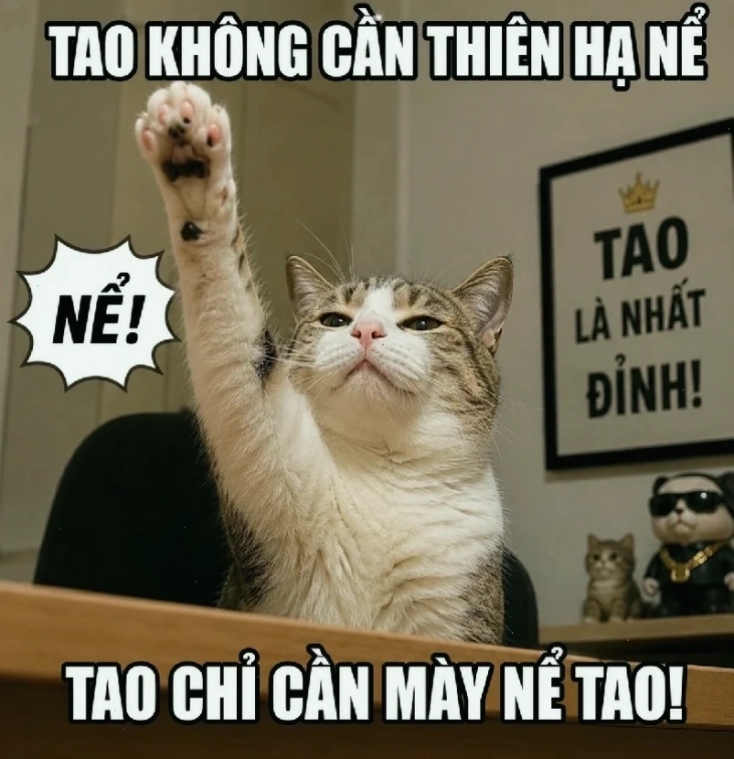 meme mèo giơ tay ôm