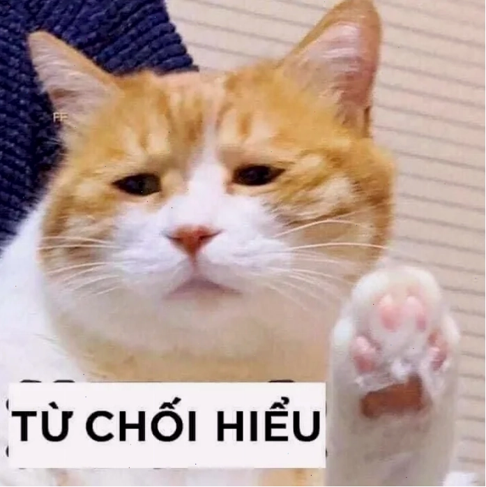 meme mèo giơ tay tinh quái