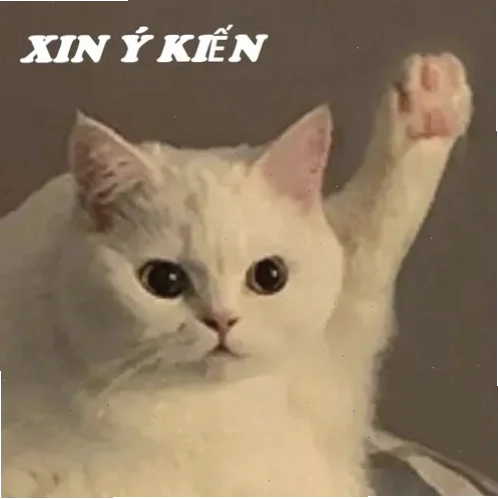 meme mèo giơ tay troll