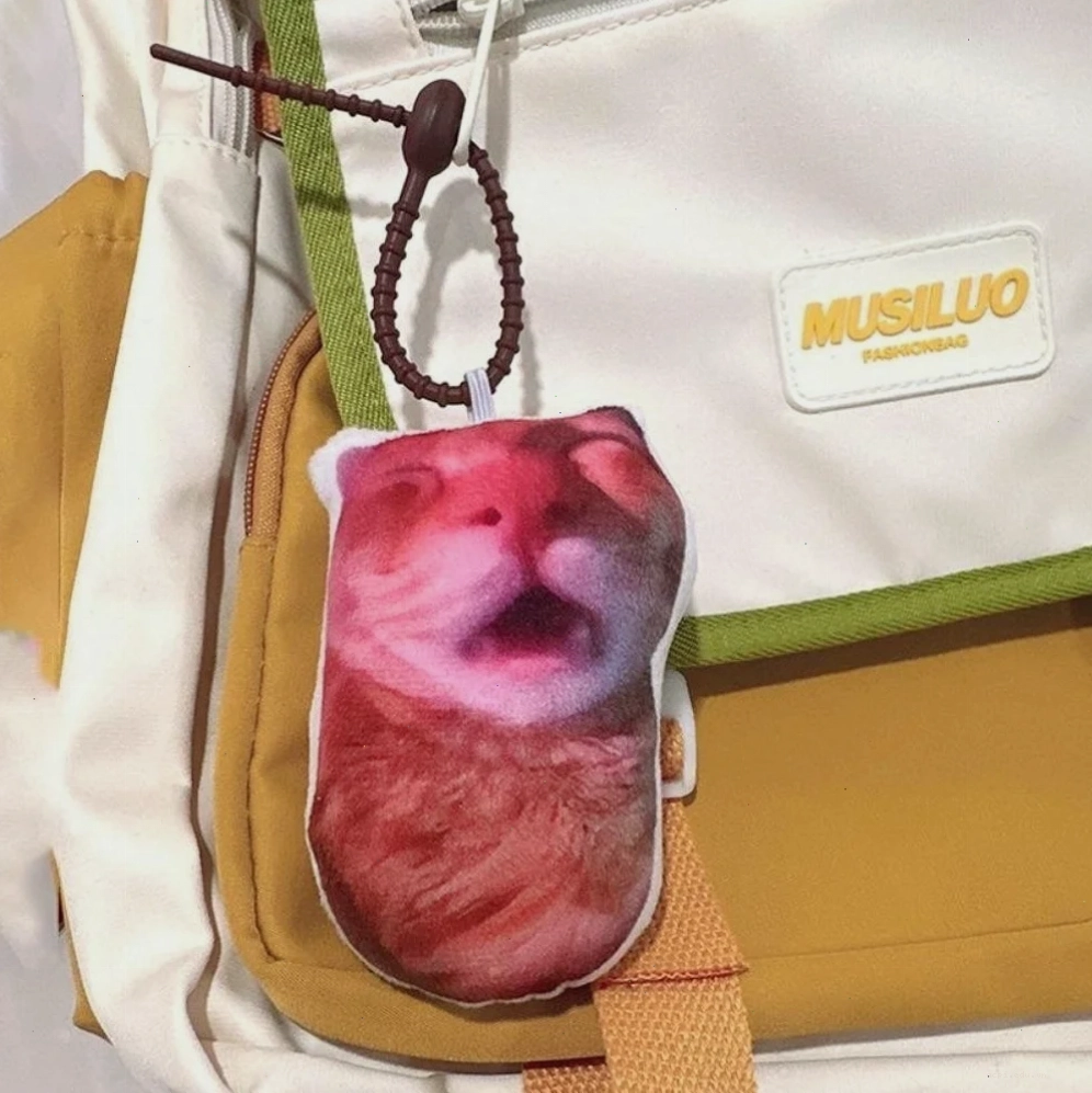 meme mèo hát