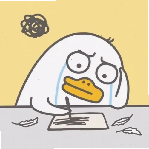 Meme mèo học bài dồn deadline