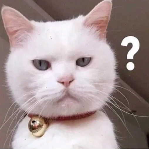 meme mèo hỏi chấm bất ngờ