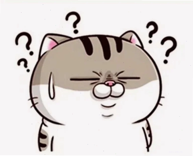 meme mèo hỏi chấm hoang mang