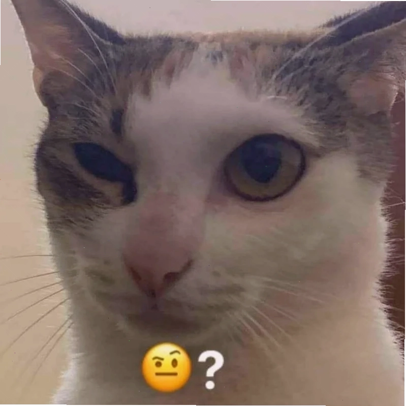 meme mèo hỏi chấm màu sắc
