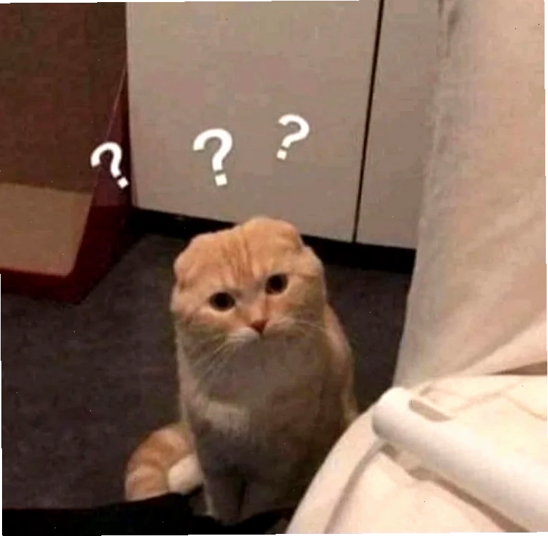 meme mèo hỏi chấm ngây thơ