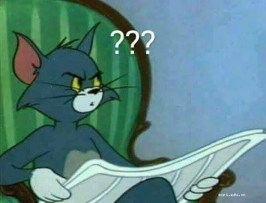 meme mèo hỏi chấm nhiều dấu