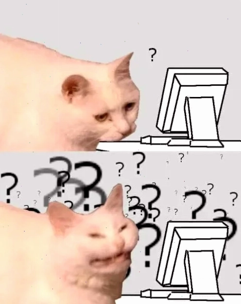 meme mèo hỏi chấm nhìn nghiêng