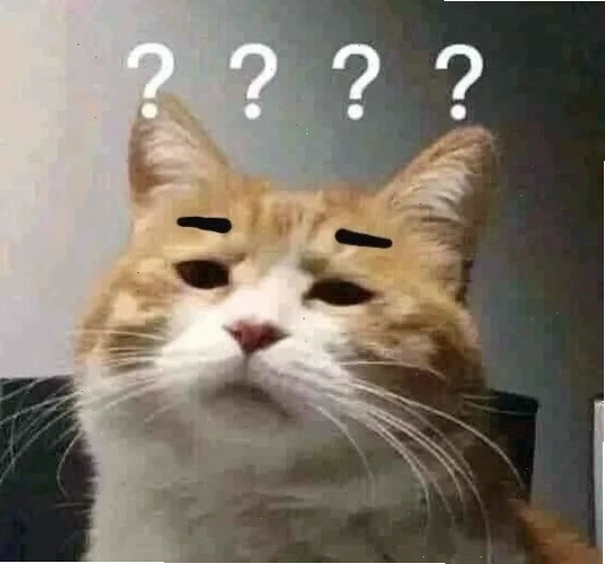 meme mèo hỏi chấm phong cách