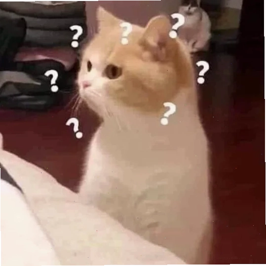 meme mèo hỏi chấm trắng đen