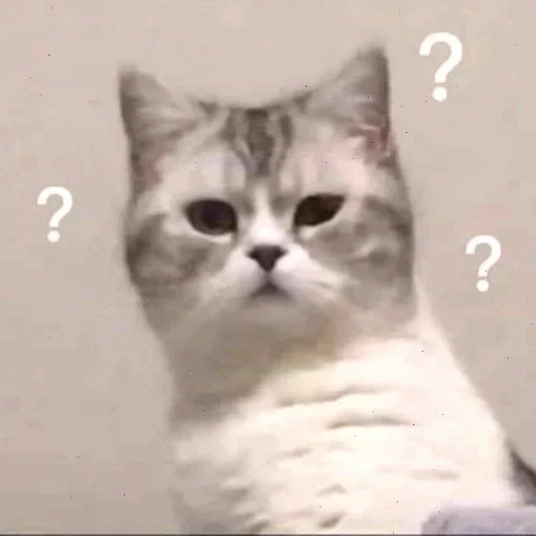 meme mèo hỏi chấm trên bàn