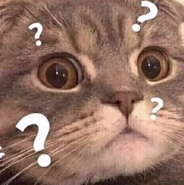meme mèo khó hiểu đang nhảy cao