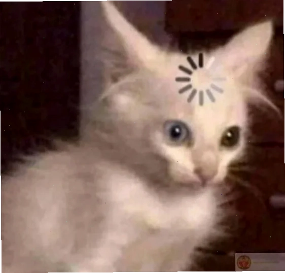 meme mèo khó hiểu đang nhìn theo con chim