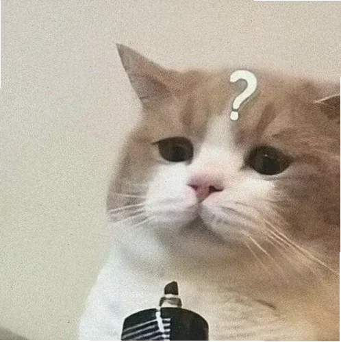 meme mèo khó hiểu đang nhìn vào hư không