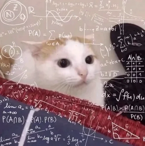 meme mèo khó hiểu khi đang cuộn tròn