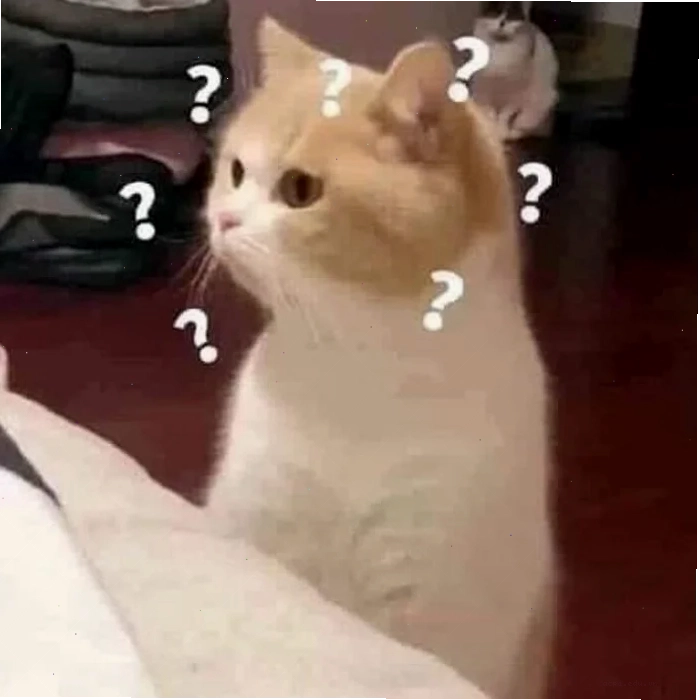 meme mèo khó hiểu khi đang nhe răng