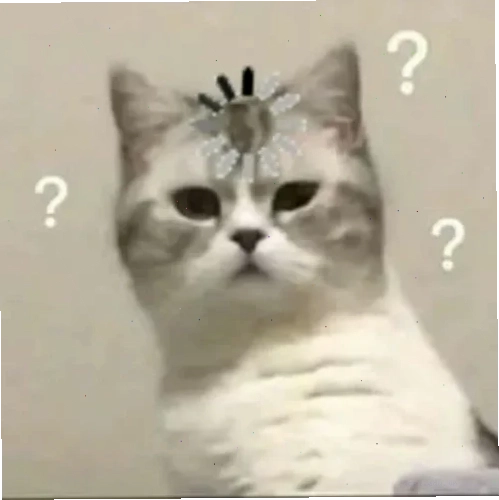 meme mèo khó hiểu lè lưỡi tinh nghịch