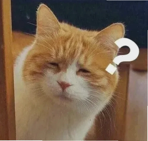 meme mèo khó hiểu tư thế nằm ngửa