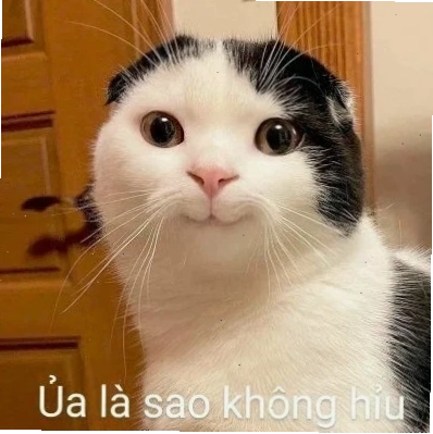 meme mèo khó hiểu với đôi mắt tròn xoe ngơ ngác
