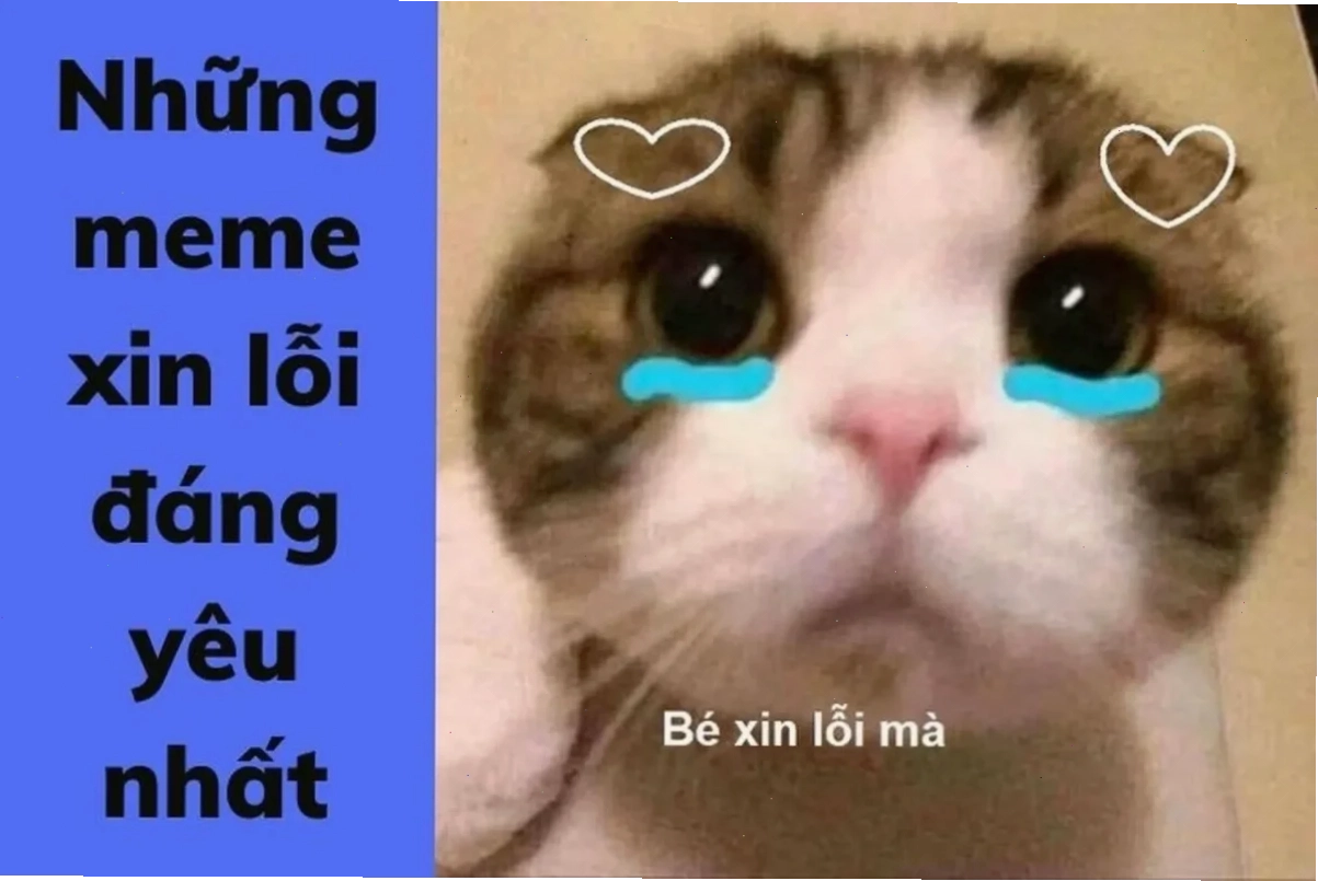 meme mèo lo lắng