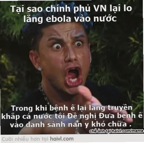 meme mèo lo lắng mất ngủ