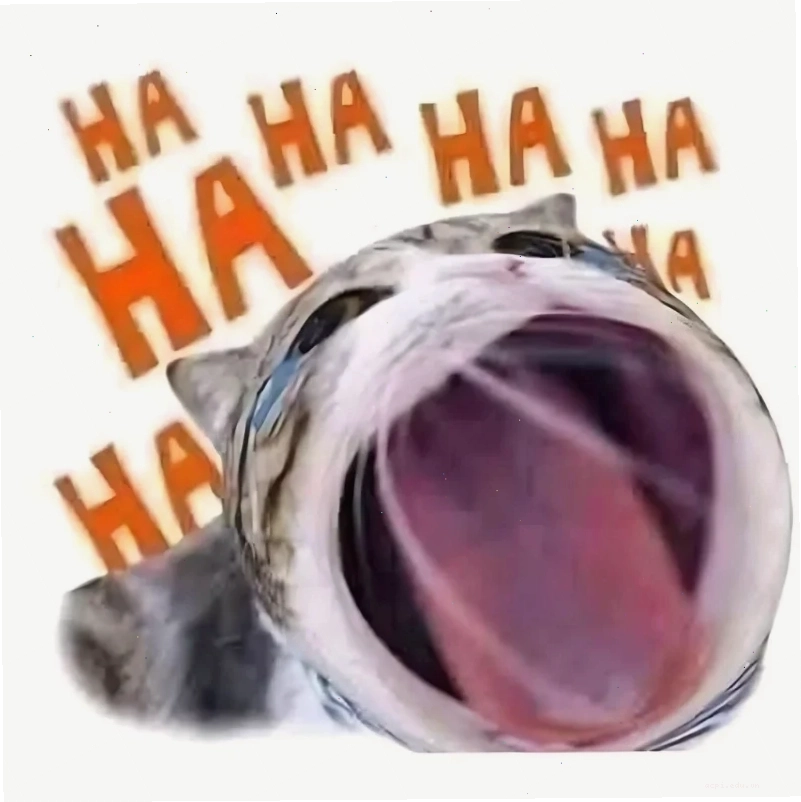 meme mèo load