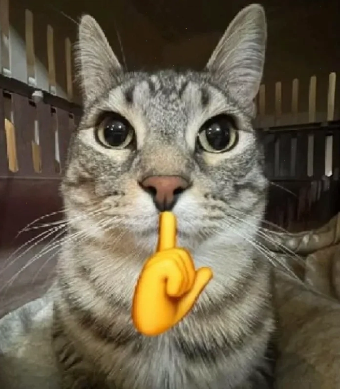 meme mèo load