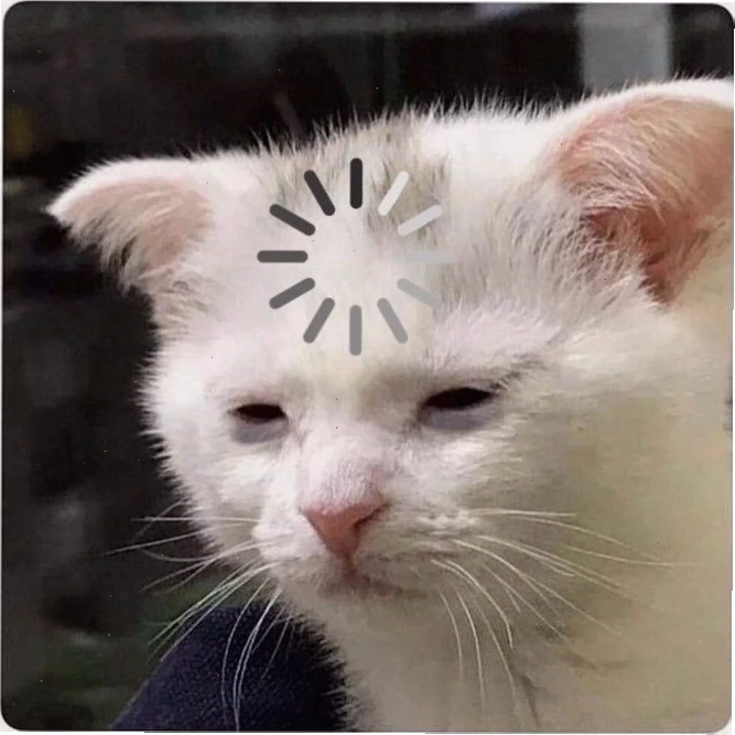 meme mèo load