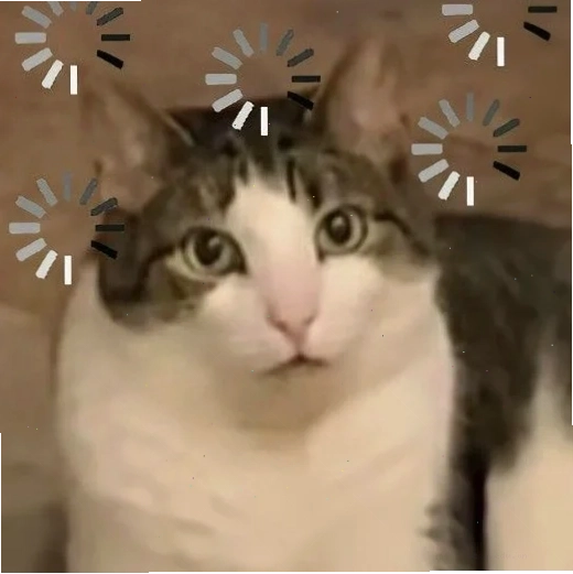 meme mèo load
