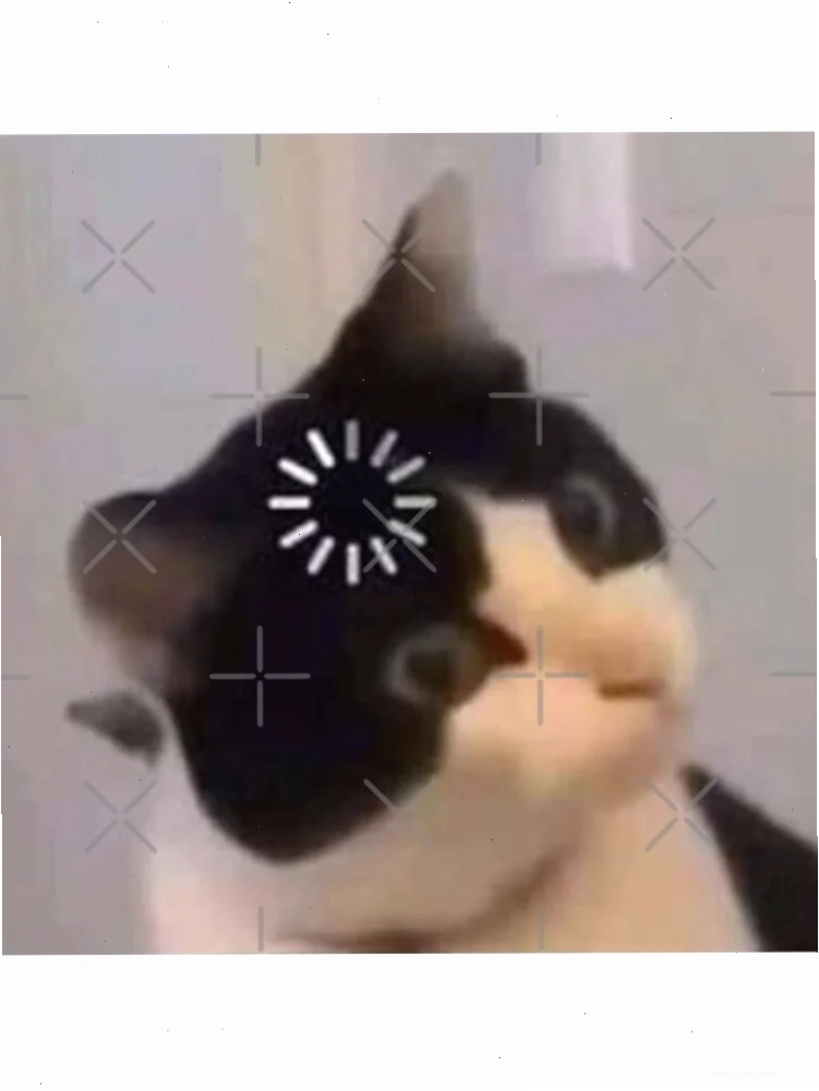 meme mèo load