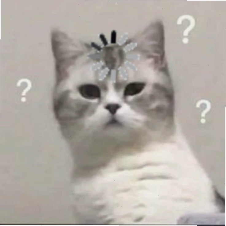 meme mèo load