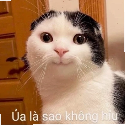 meme mèo load